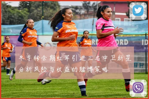 冬季转会期红军引进三名中卫新星分析风险与收益的赌博策略