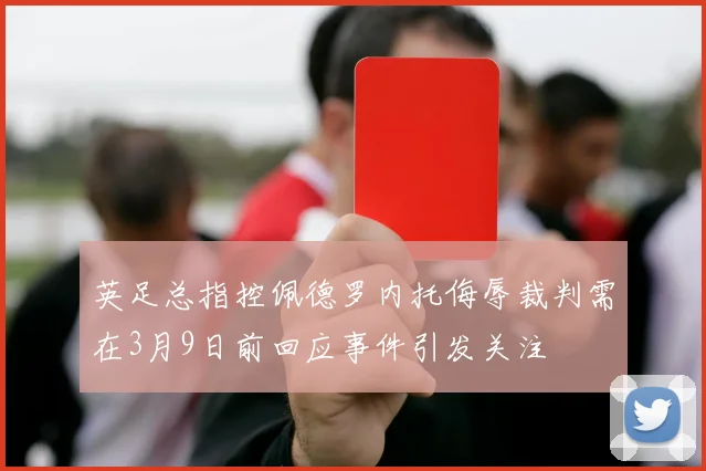 英足总指控佩德罗内托侮辱裁判需在3月9日前回应事件引发关注