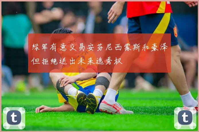 绿军有意交易安芬尼西蒙斯和豪泽但拒绝送出未来选秀权