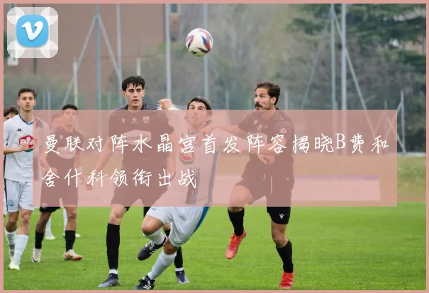 曼联对阵水晶宫首发阵容揭晓B费和舍什科领衔出战